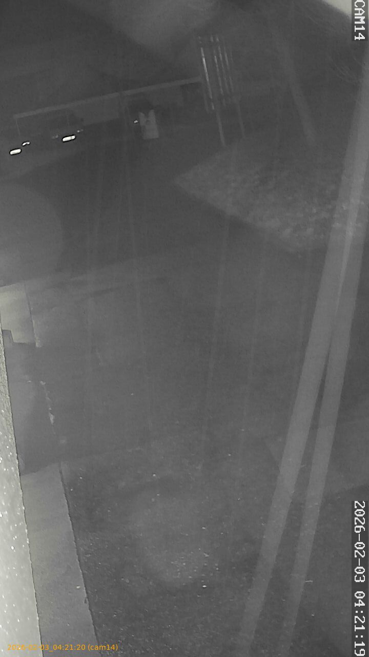 thumbnail_20260203042120