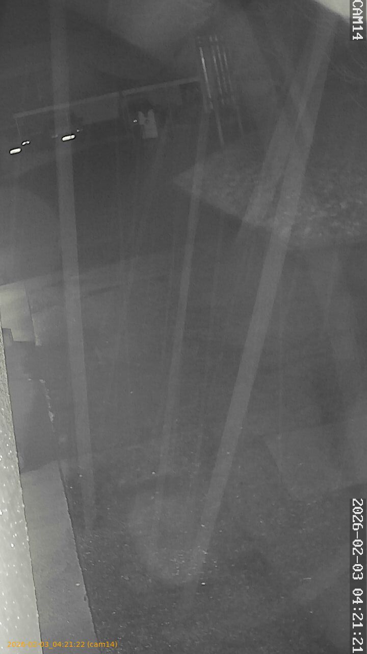 thumbnail_20260203042122