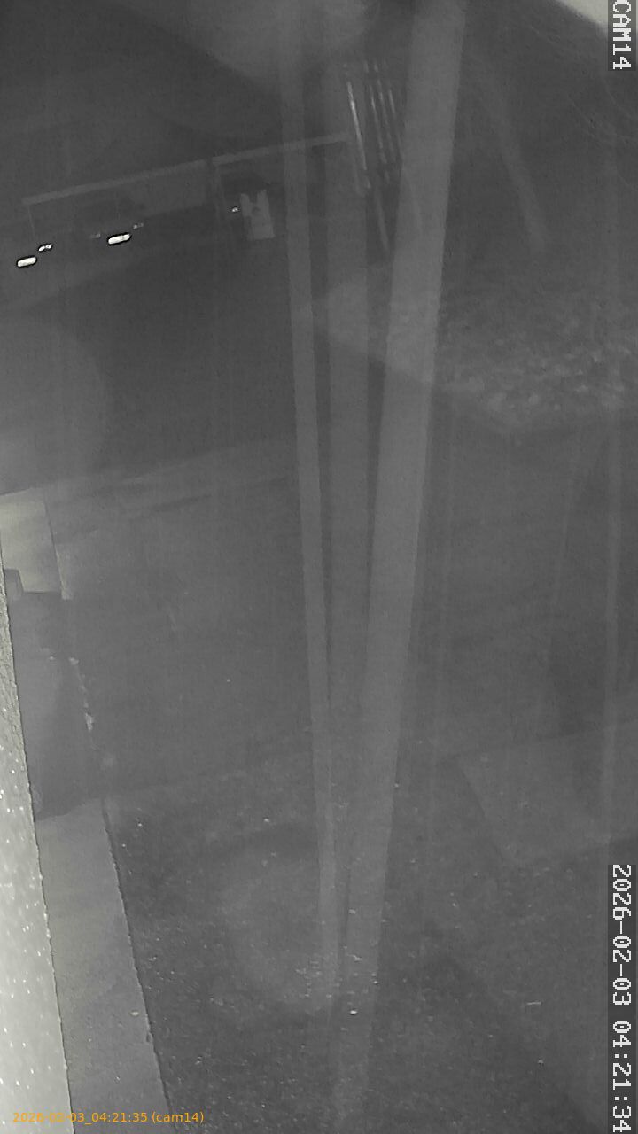 thumbnail_20260203042135