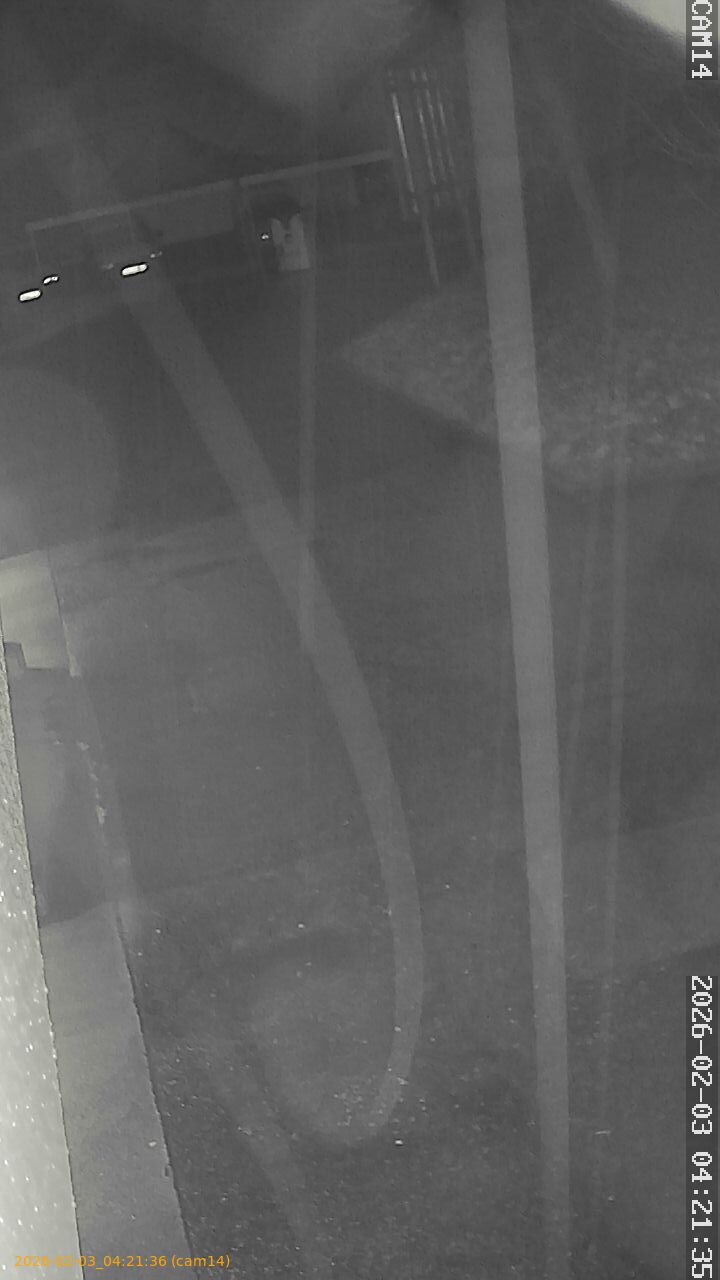 thumbnail_20260203042136