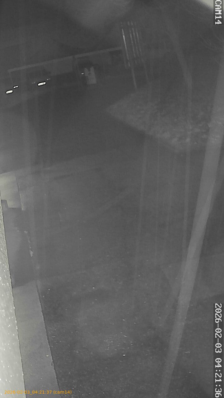 thumbnail_20260203042137