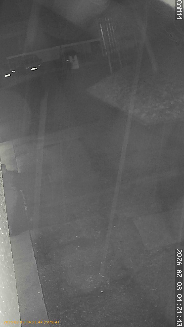 thumbnail_20260203042144