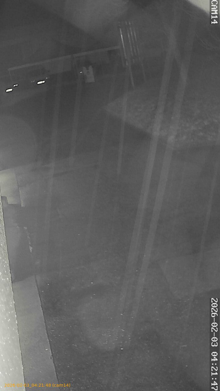 thumbnail_20260203042148