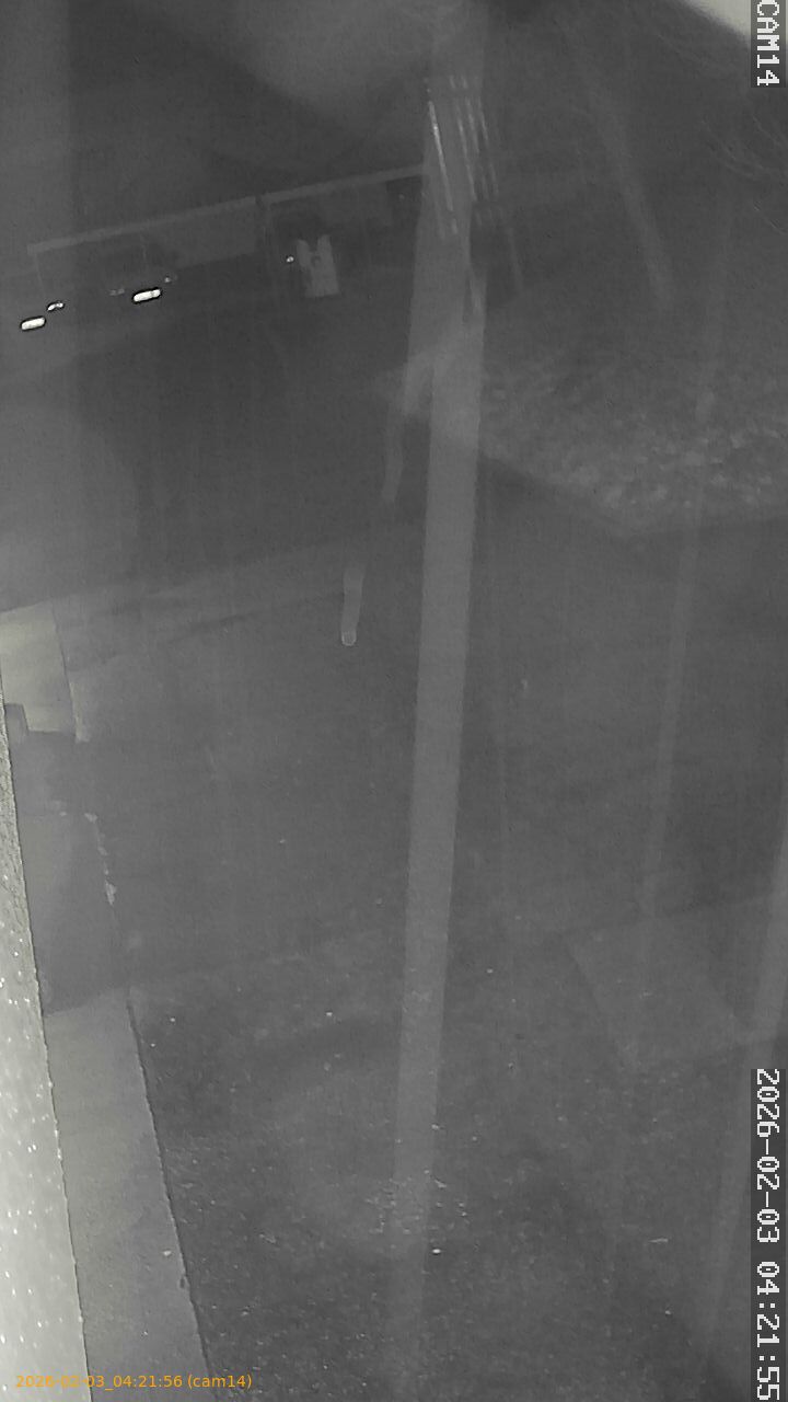 thumbnail_20260203042156