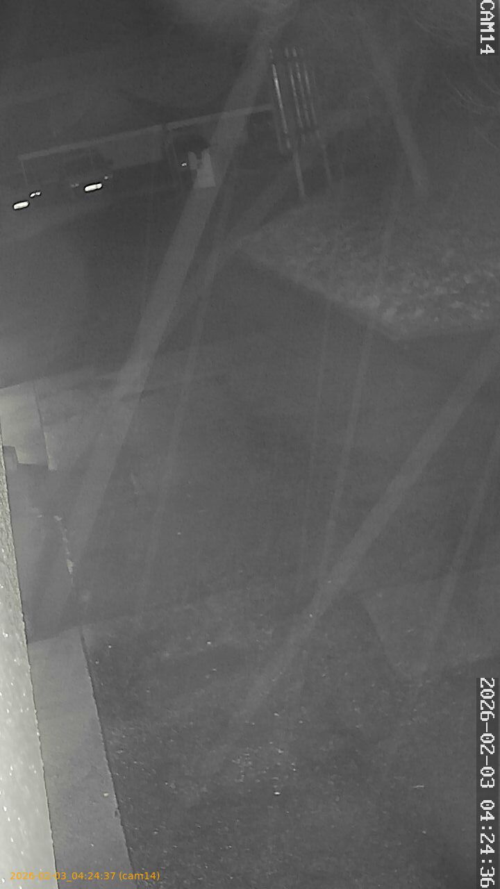 thumbnail_20260203042437