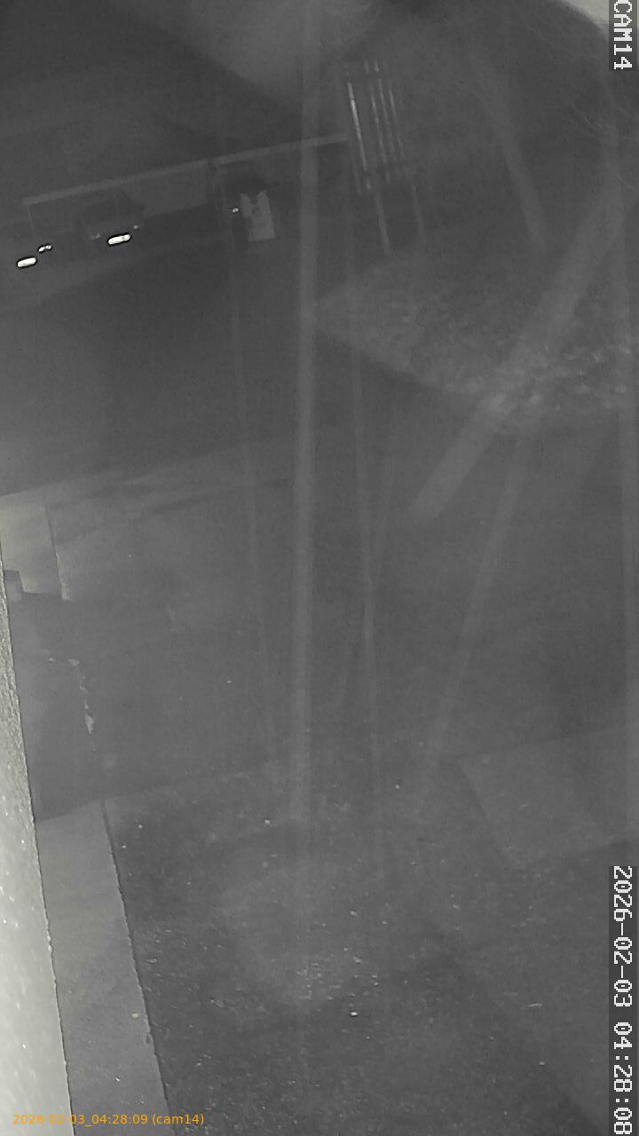 thumbnail_20260203042809