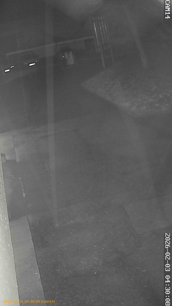 thumbnail_20260203043009