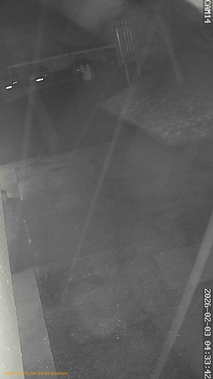 thumbnail_20260203043344