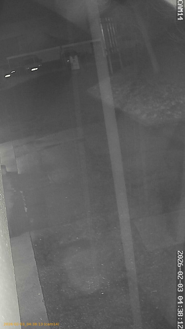 thumbnail_20260203043813