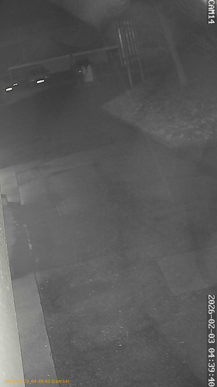 thumbnail_20260203043942