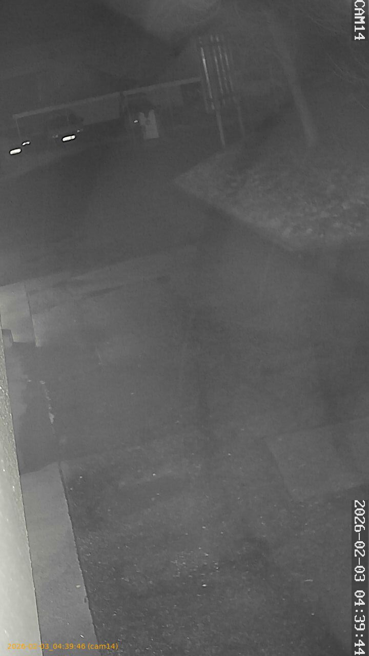 thumbnail_20260203043946