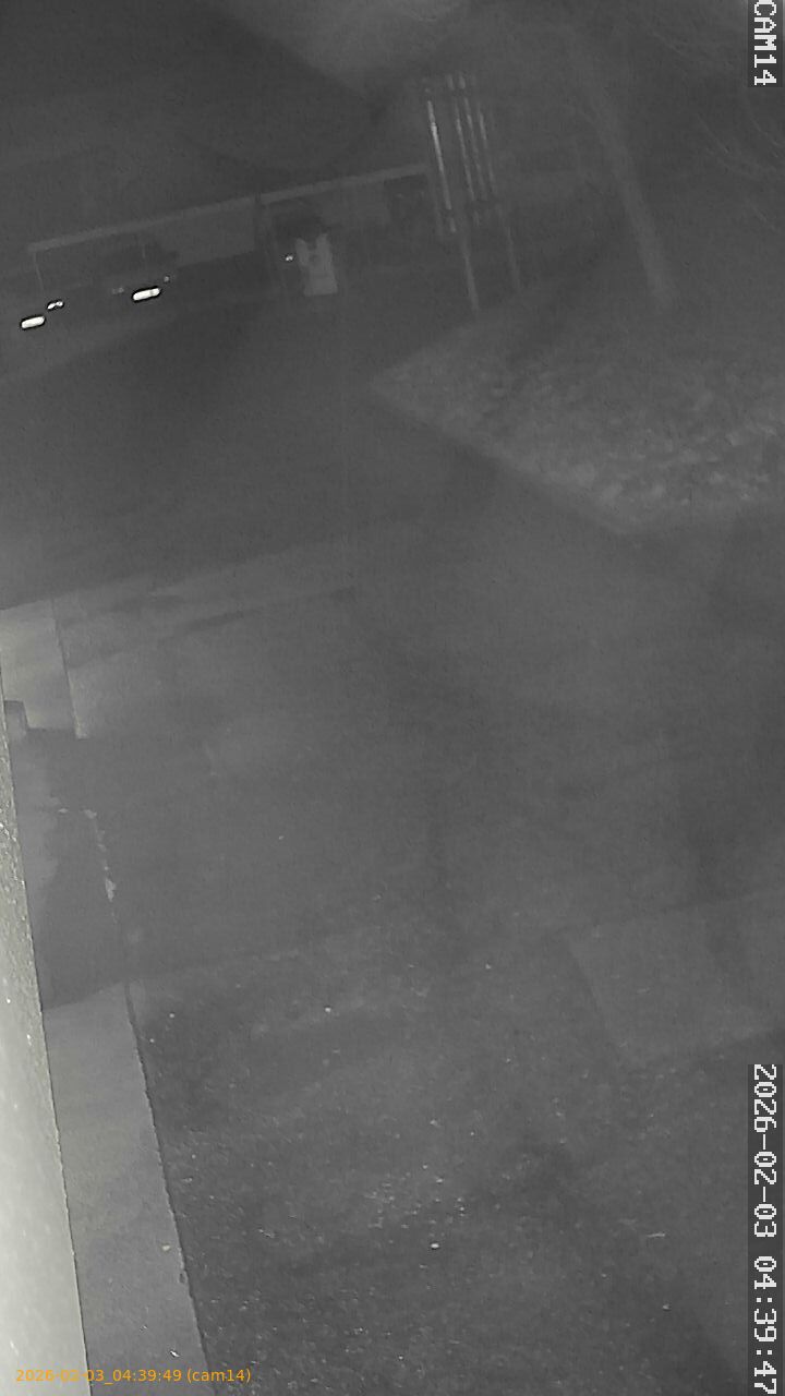 thumbnail_20260203043949