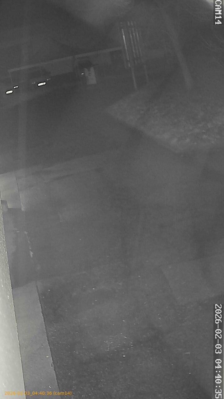 thumbnail_20260203044036