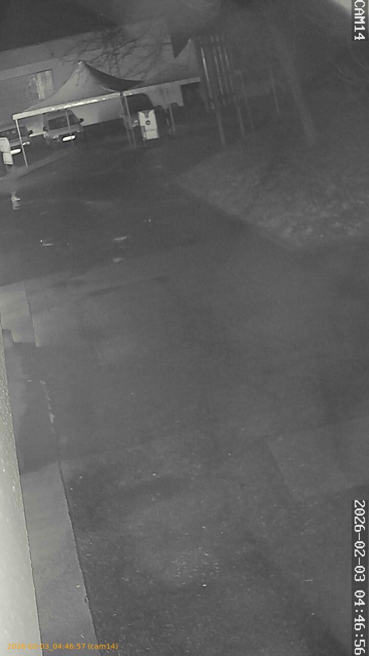 thumbnail_20260203044657