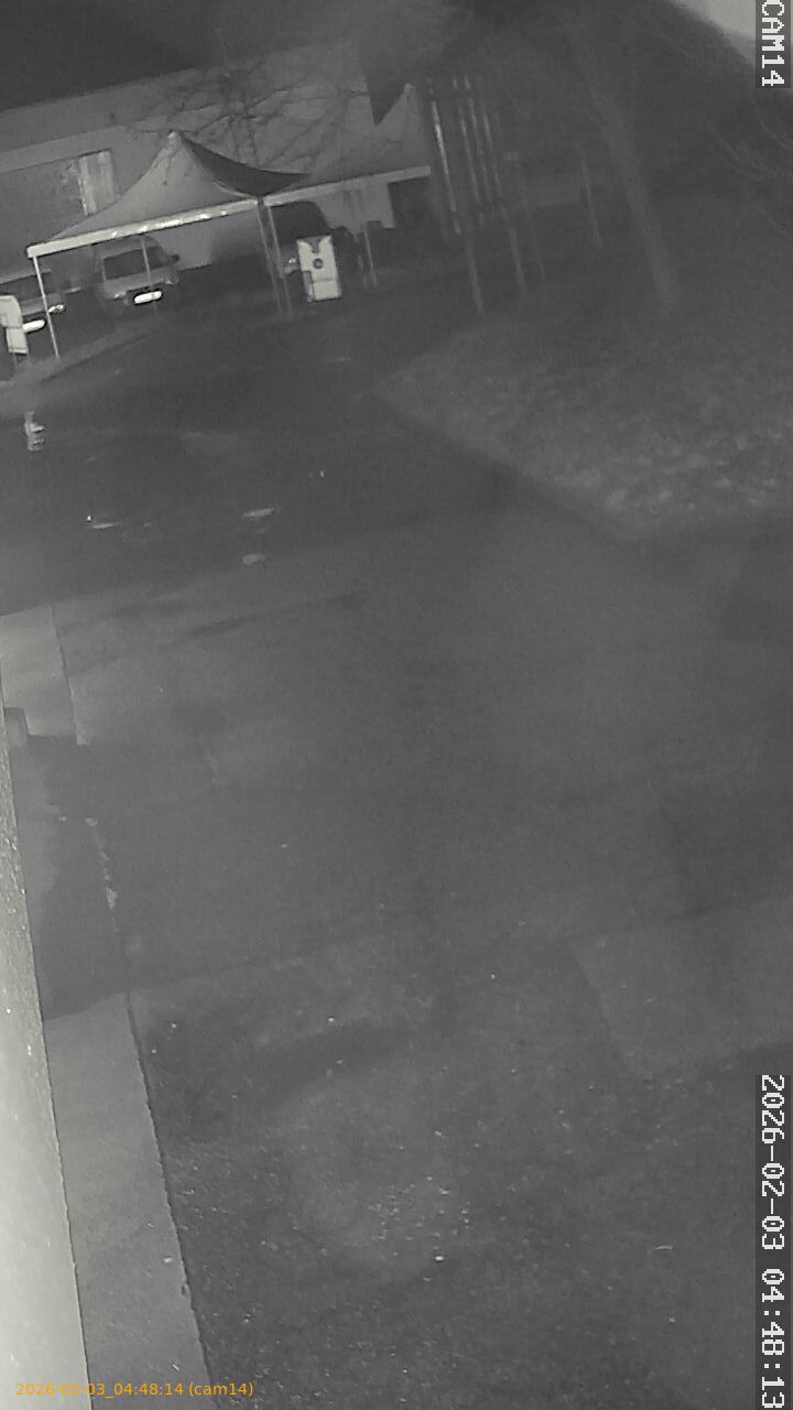 thumbnail_20260203044814