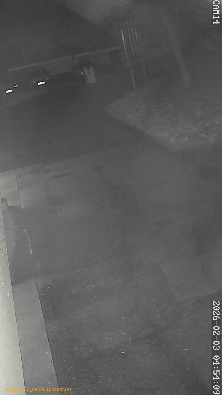 thumbnail_20260203045410