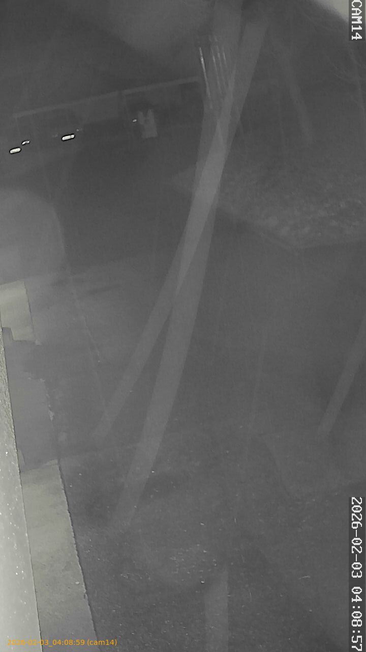 thumbnail_202602030408