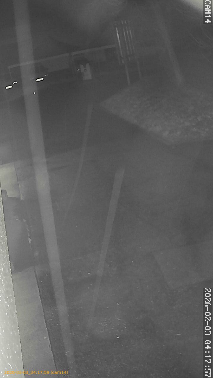 thumbnail_202602030417