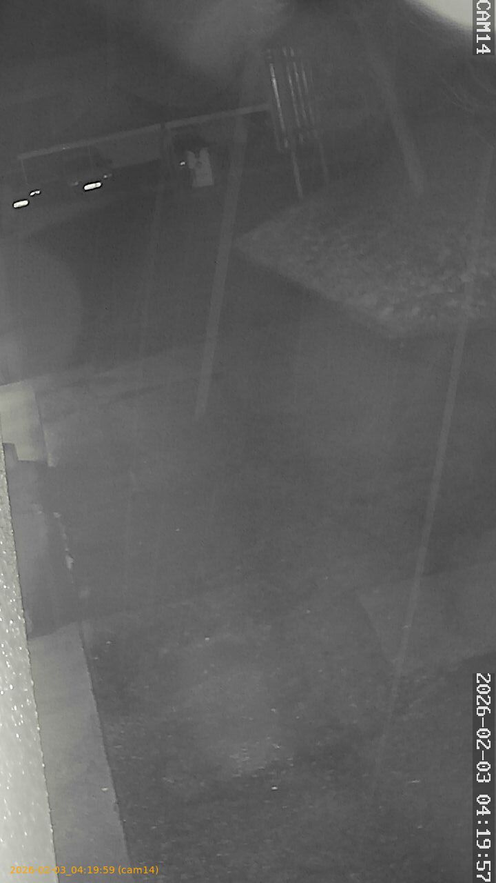 thumbnail_202602030419