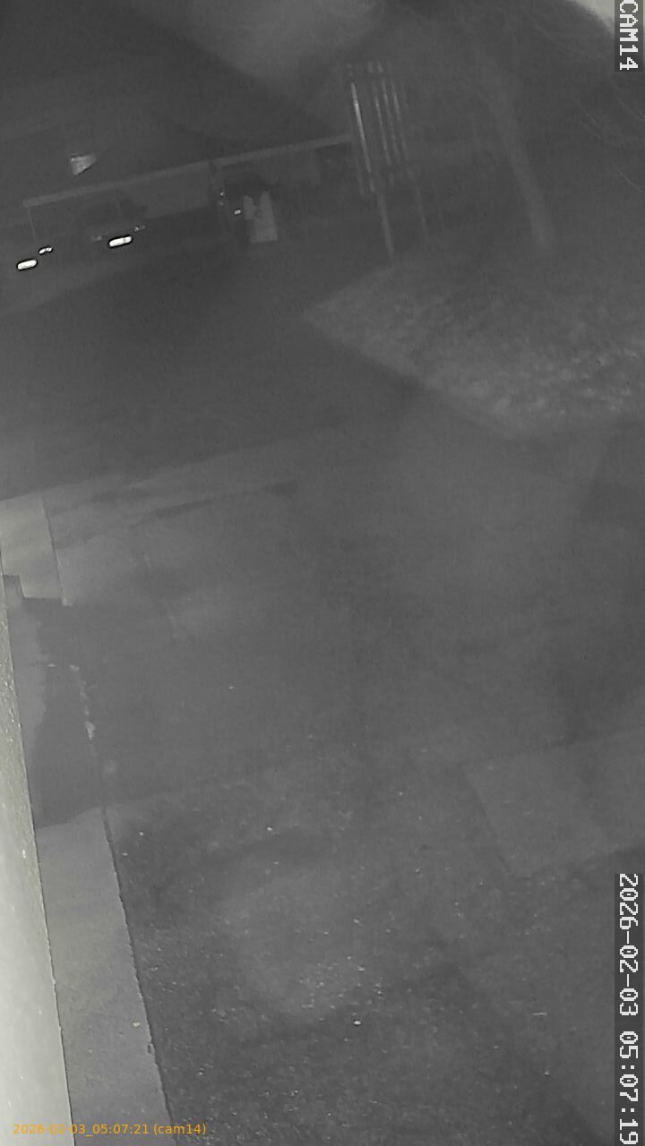 thumbnail_20260203050720