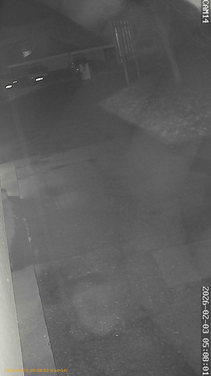 thumbnail_20260203050802