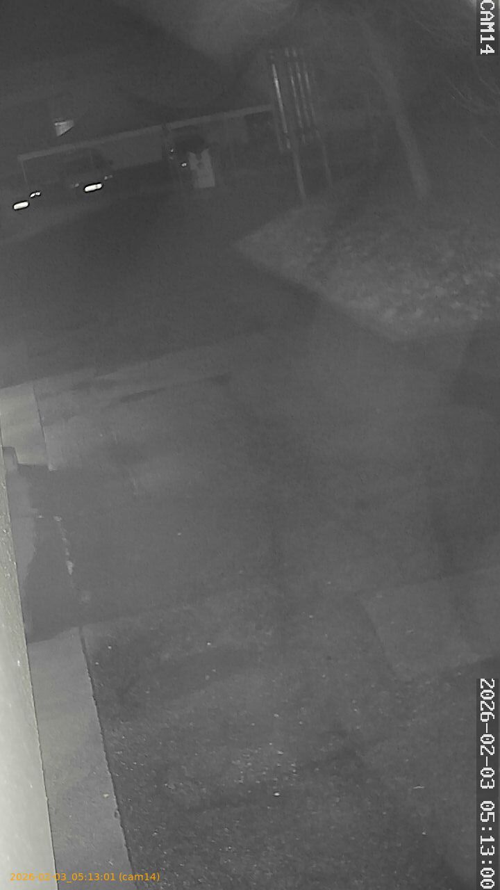 thumbnail_20260203051301