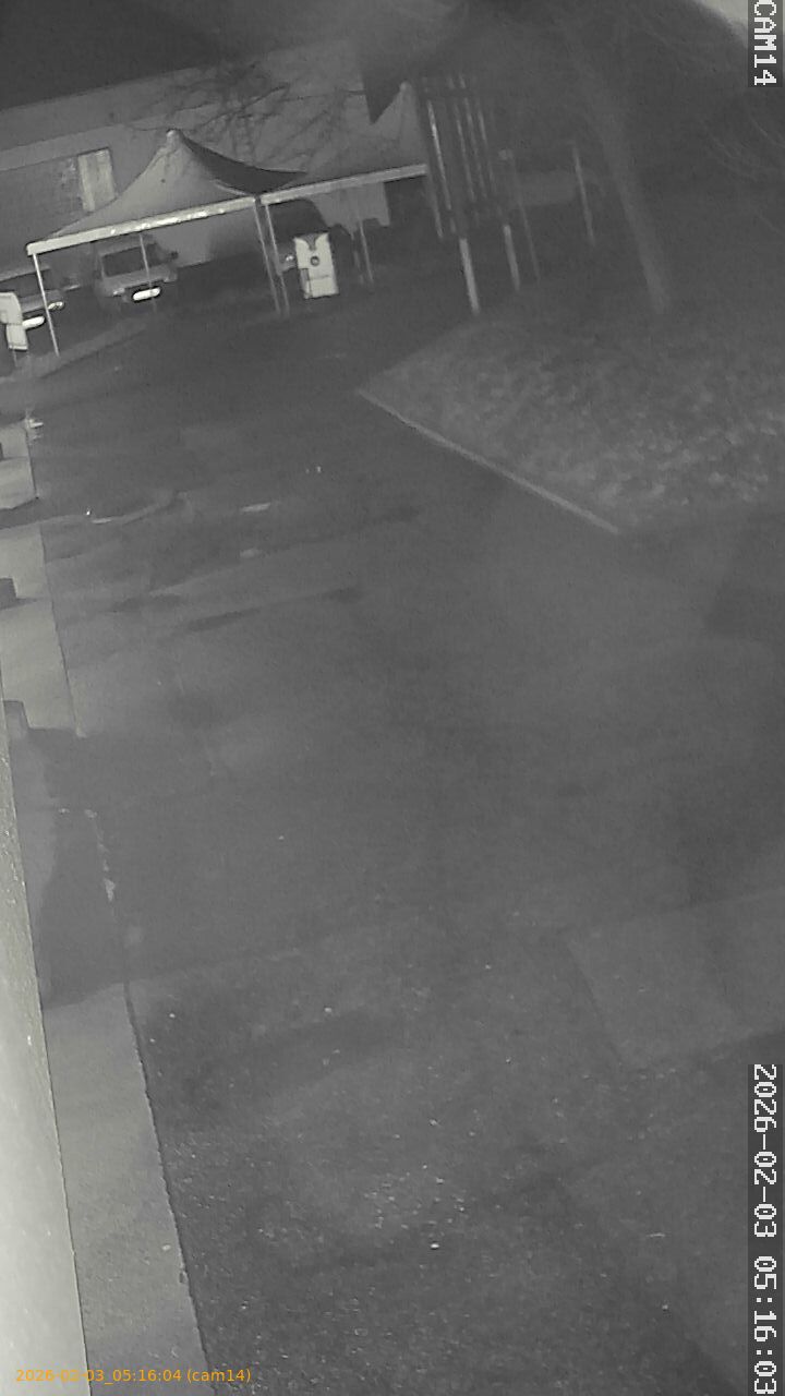 thumbnail_20260203051604