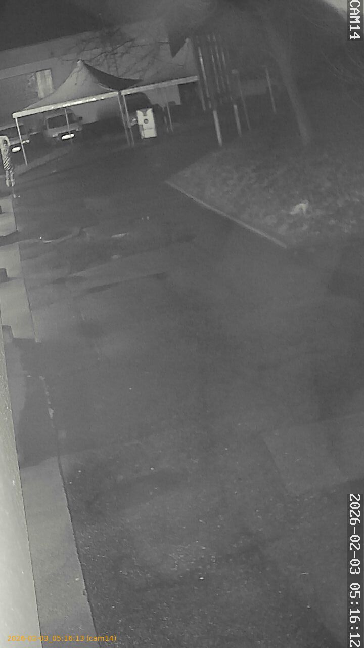 thumbnail_20260203051613