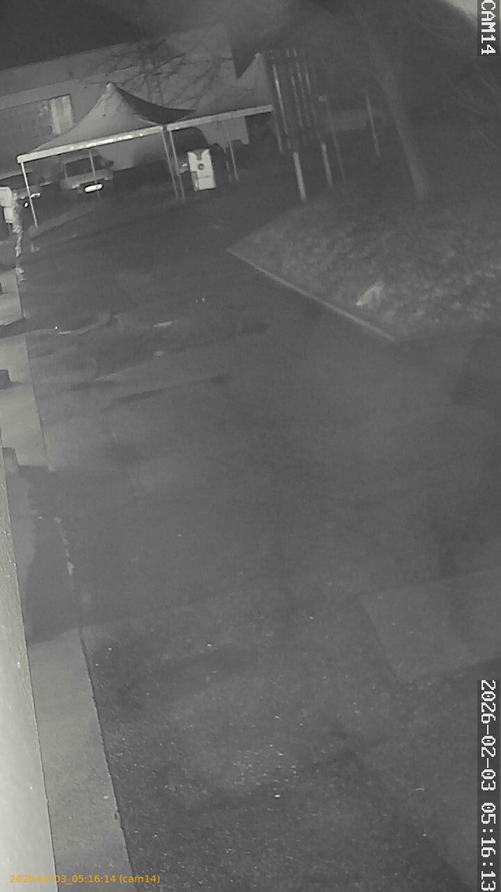 thumbnail_20260203051614