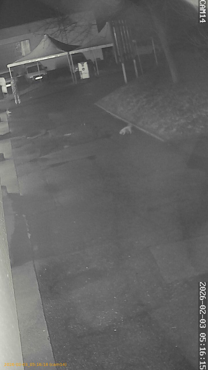 thumbnail_20260203051616