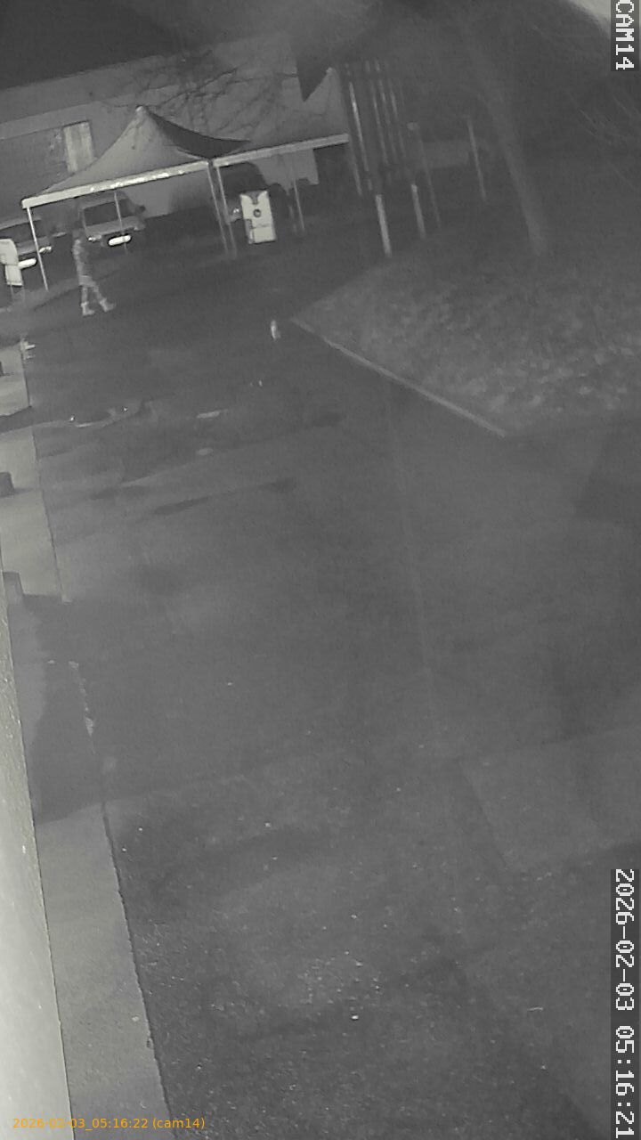 thumbnail_20260203051622