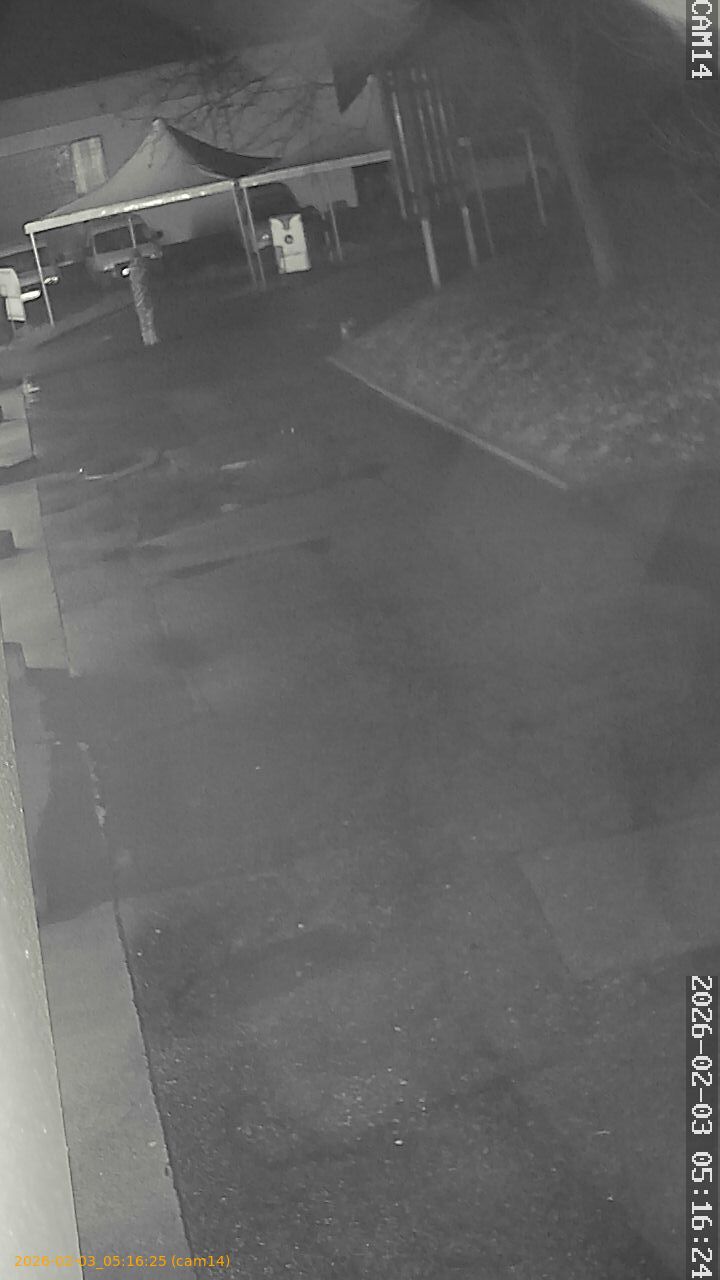 thumbnail_20260203051625