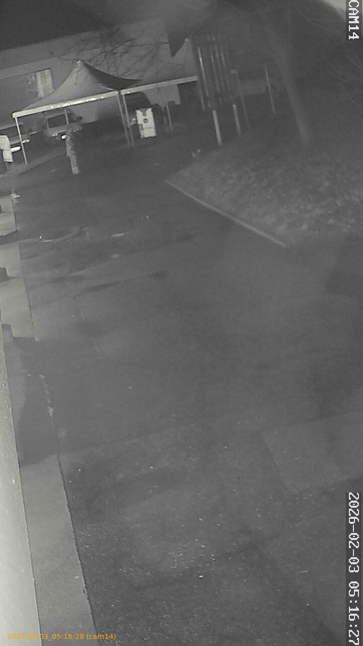 thumbnail_20260203051628