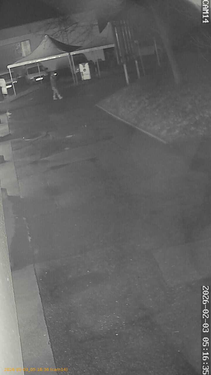 thumbnail_20260203051636