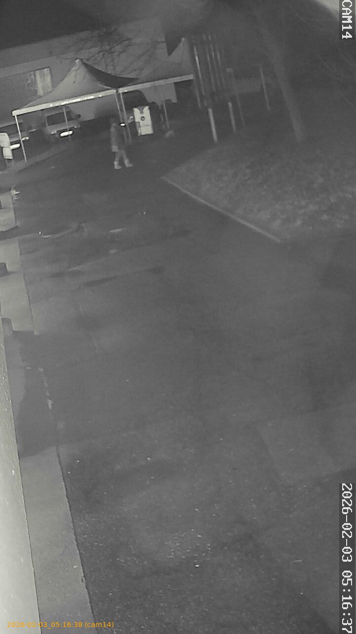 thumbnail_20260203051638