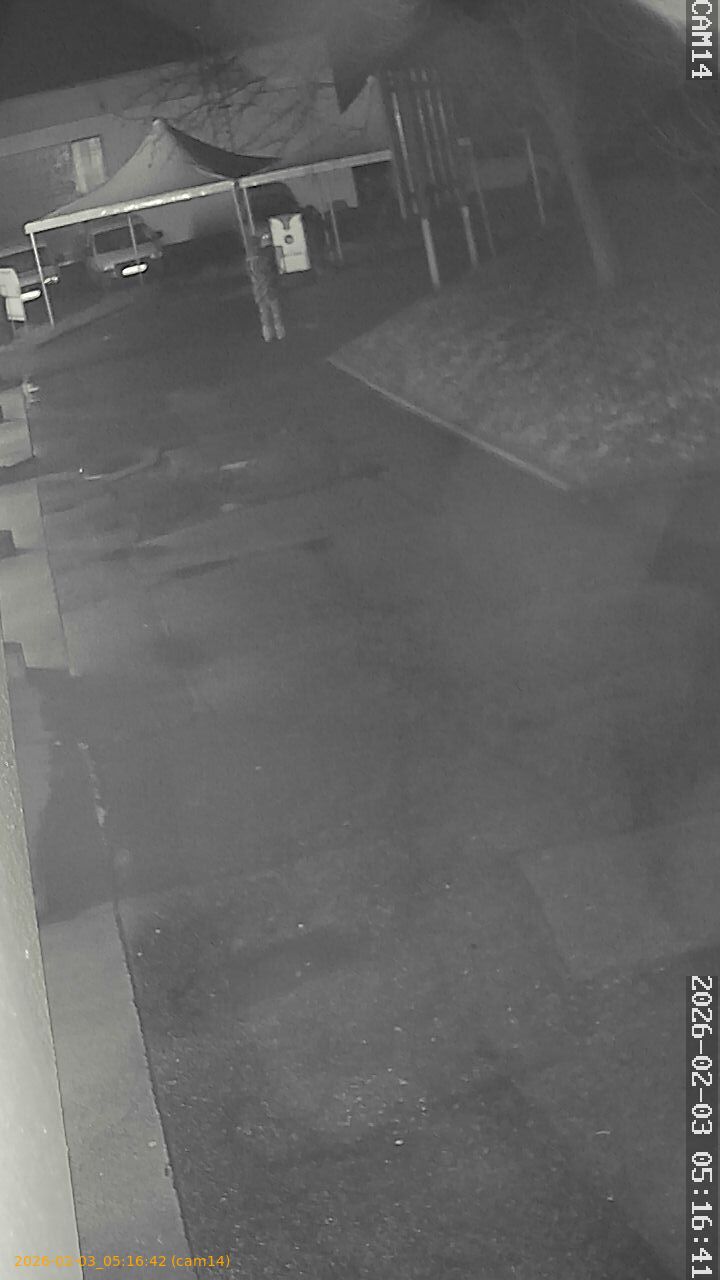 thumbnail_20260203051642