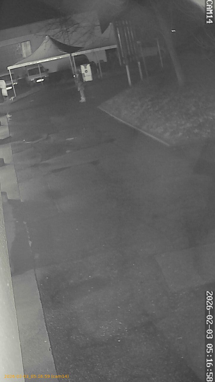 thumbnail_20260203051659