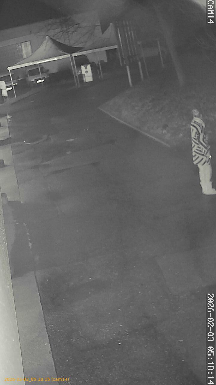 thumbnail_20260203051815