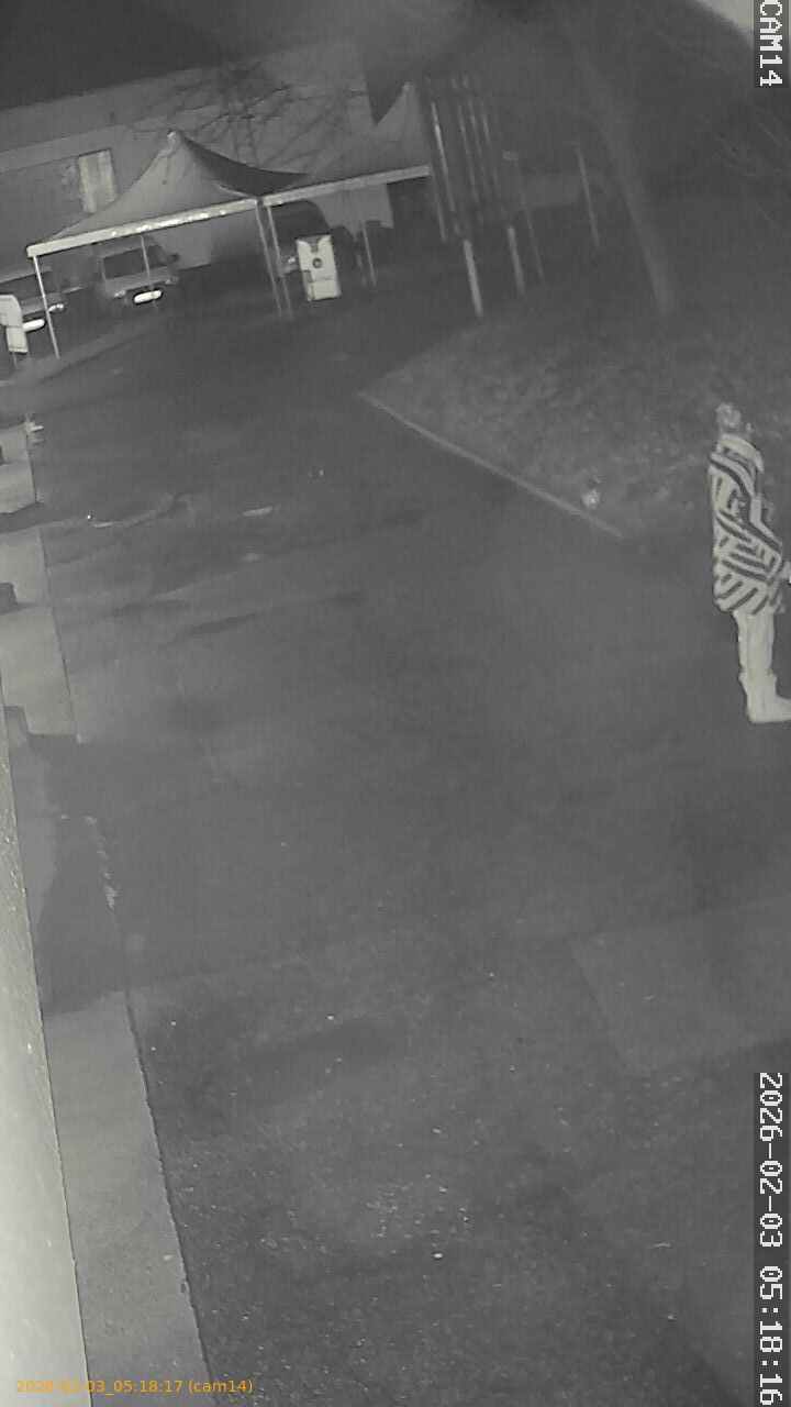 thumbnail_20260203051817