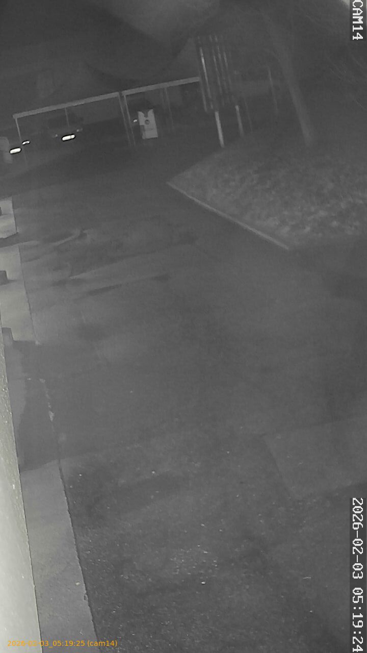 thumbnail_20260203051925