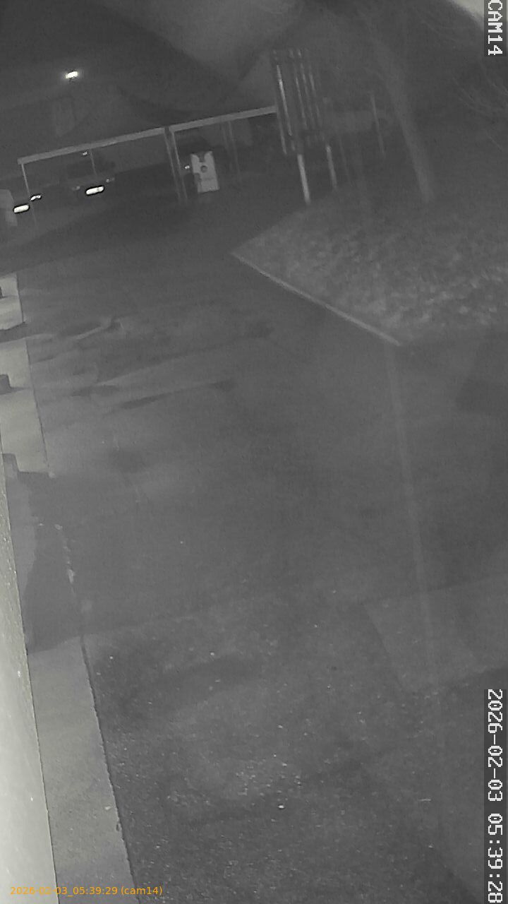 thumbnail_20260203053929