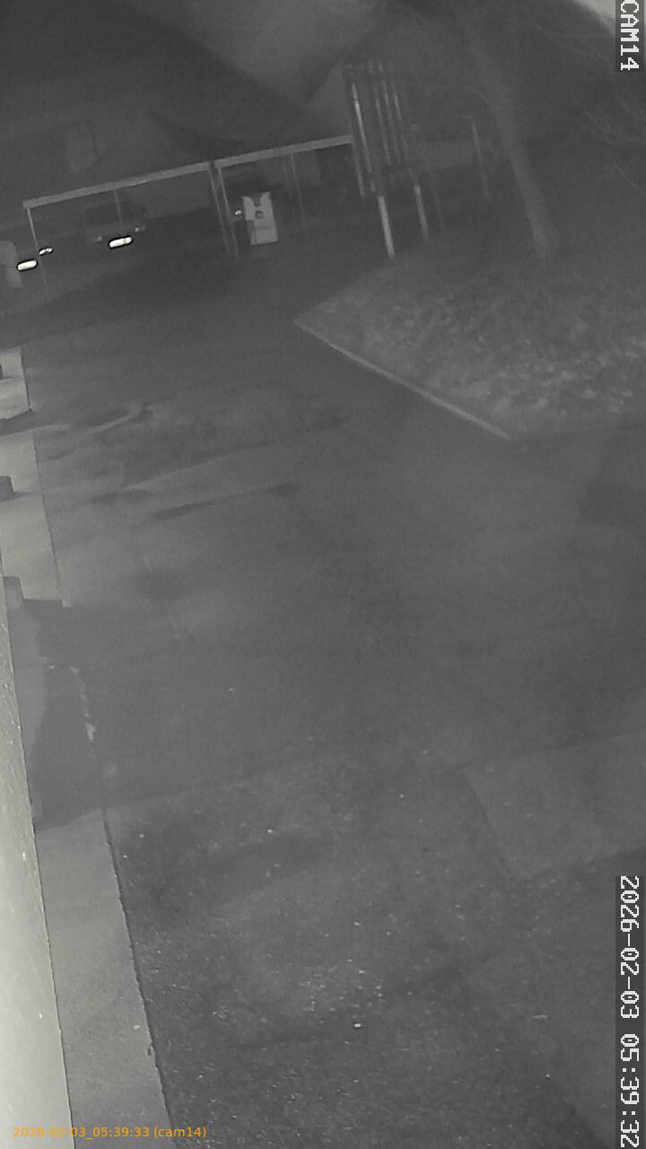 thumbnail_20260203053933