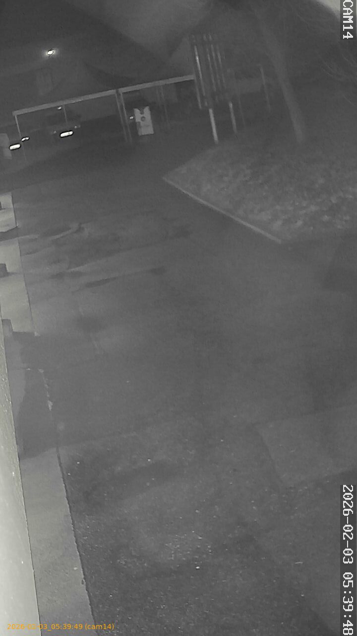 thumbnail_20260203053949