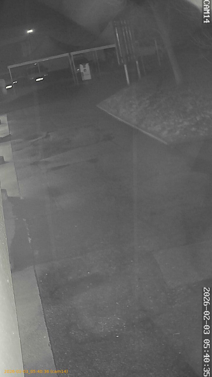 thumbnail_20260203054036