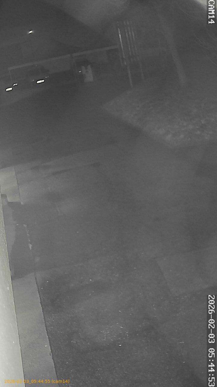 thumbnail_20260203054455