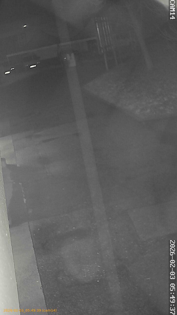 thumbnail_20260203054939