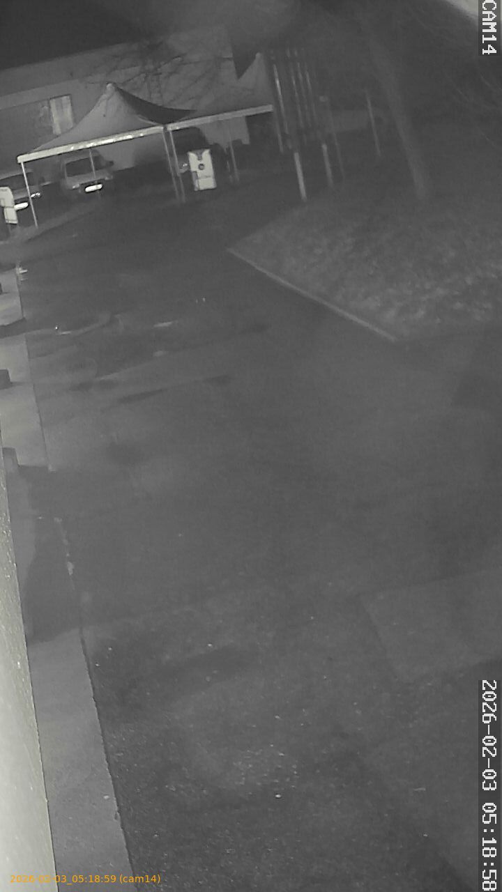 thumbnail_202602030518