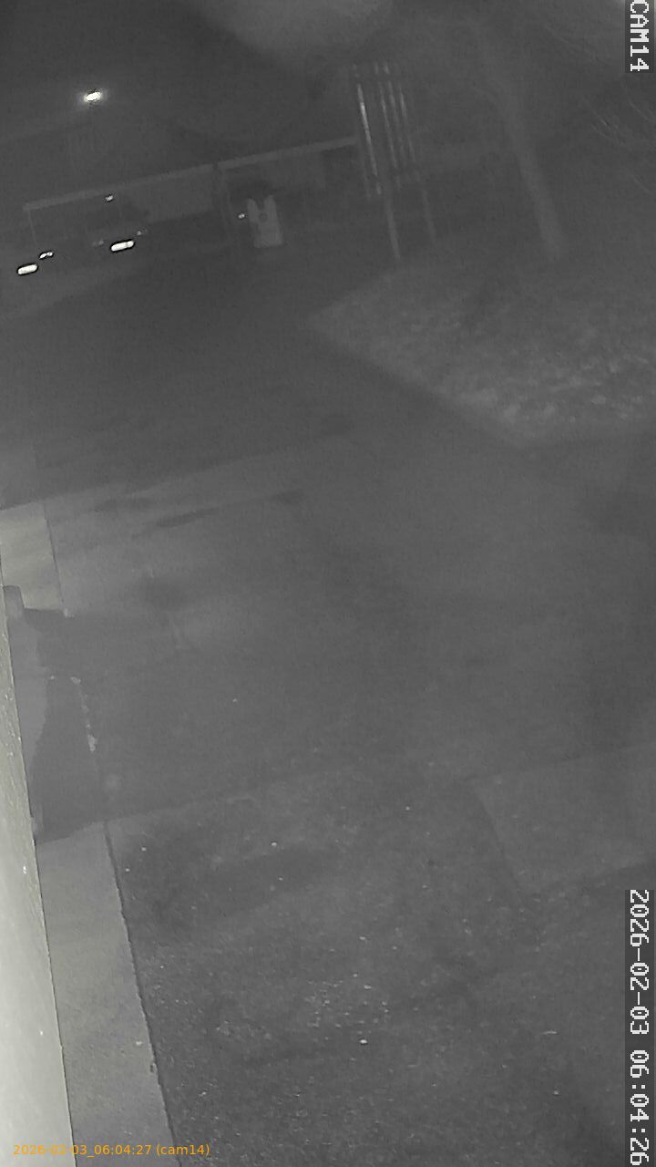 thumbnail_20260203060427