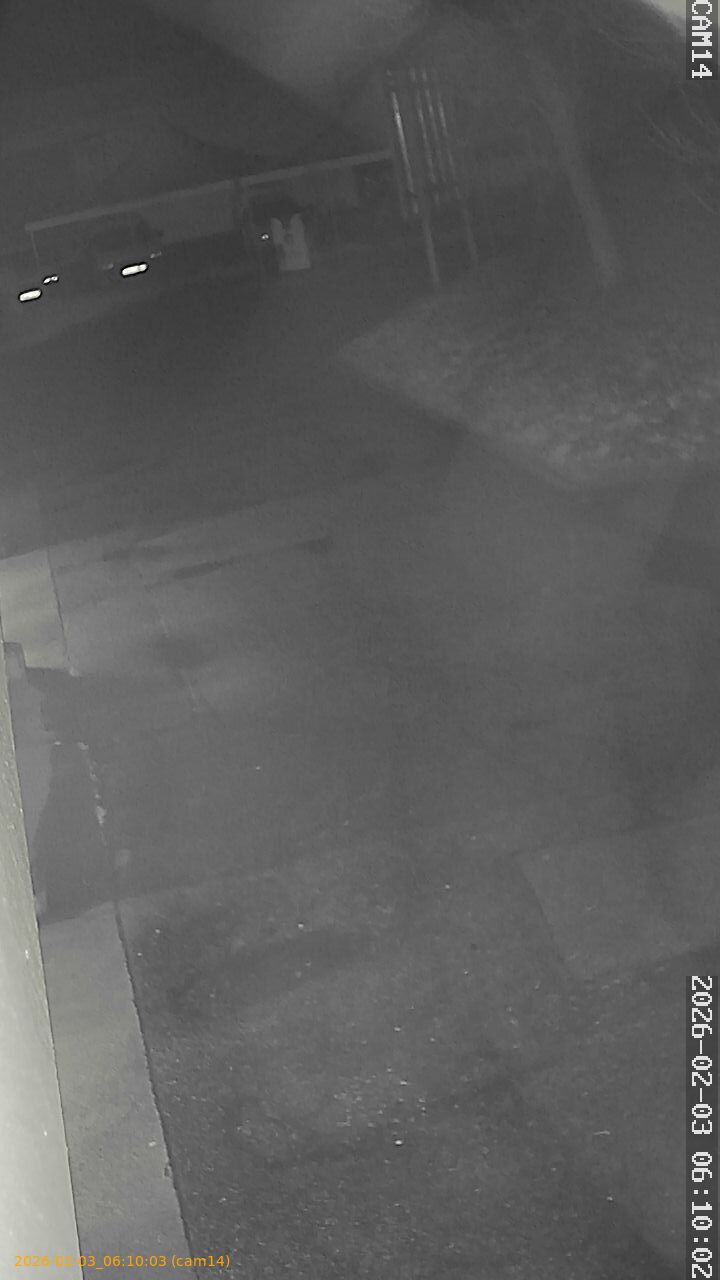 thumbnail_20260203061003