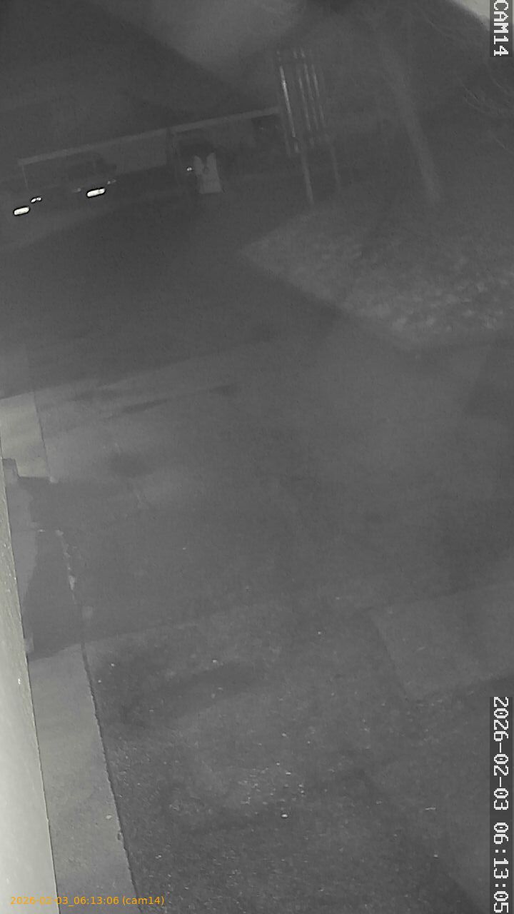 thumbnail_20260203061306